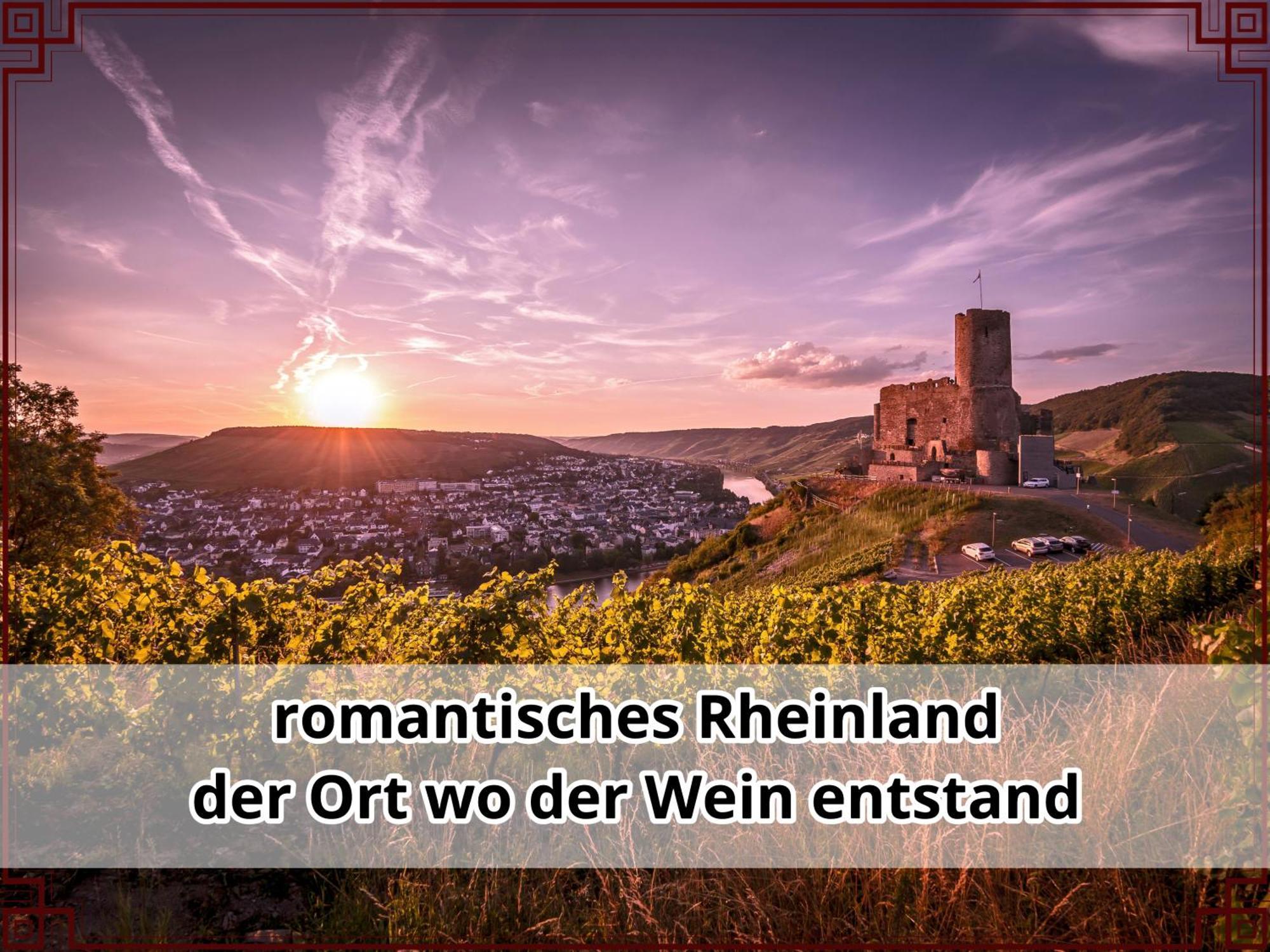 Smallsaigon Apartment Mit Guter Anbindung Zwischen Mosel Und Rhein Leiningen Εξωτερικό φωτογραφία